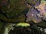 DCP00185.JPG
