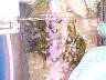 DCP00415.JPG