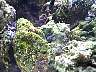 DCP01209.JPG