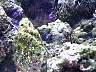 DCP01210.JPG