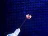 DCP01346.JPG