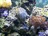 DCP01541.JPG