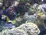 DCP01630.JPG
