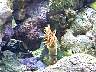 DCP01648.JPG