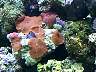 DCP01668.JPG