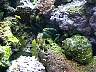 DCP01675.JPG