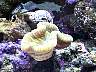 DCP01757.JPG