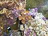 DCP02626.JPG