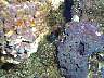 DCP02660.JPG