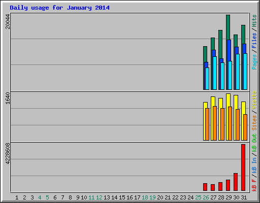 Daily usage for January 2014