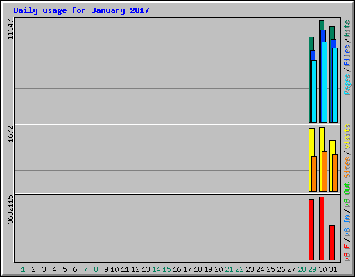 Daily usage for January 2017