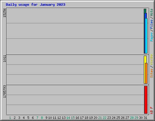 Daily usage for January 2023