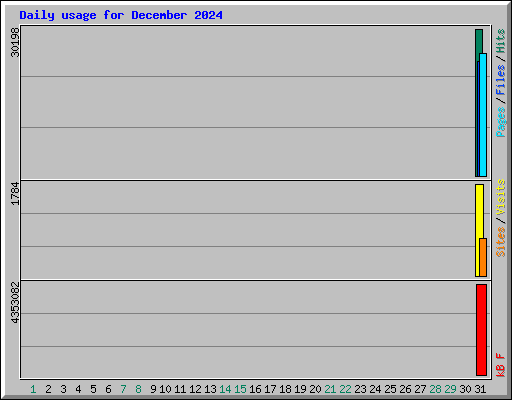 Daily usage for December 2024