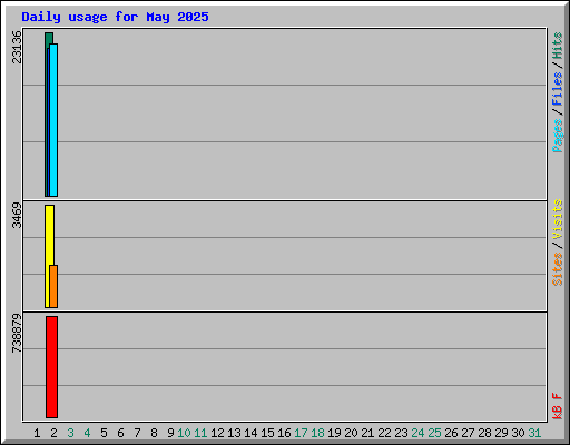 Daily usage for May 2025