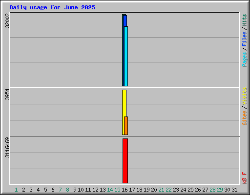 Daily usage for June 2025