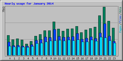 Hourly usage for January 2014