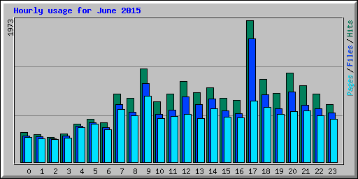 Hourly usage for June 2015