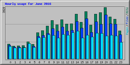 Hourly usage for June 2016