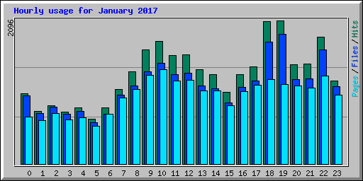 Hourly usage for January 2017