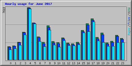 Hourly usage for June 2017