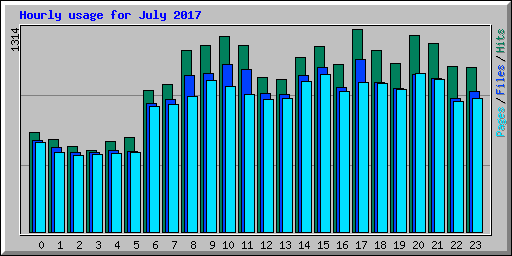 Hourly usage for July 2017