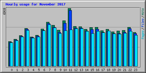 Hourly usage for November 2017
