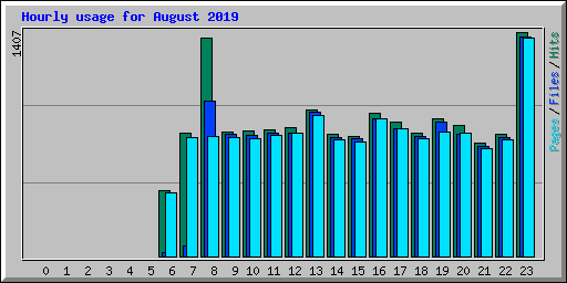 Hourly usage for August 2019