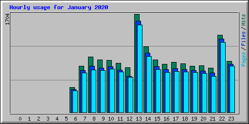 Hourly usage for January 2020