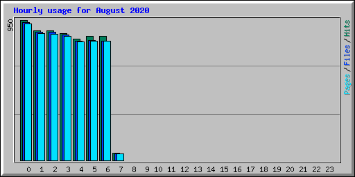 Hourly usage for August 2020