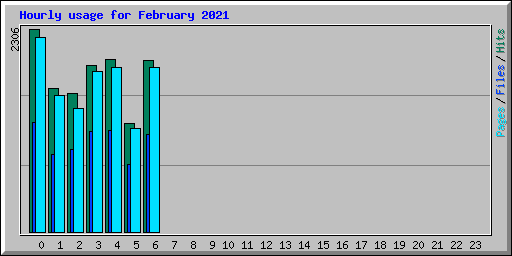 Hourly usage for February 2021