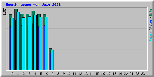 Hourly usage for July 2021