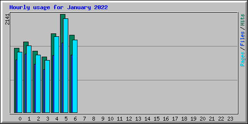 Hourly usage for January 2022