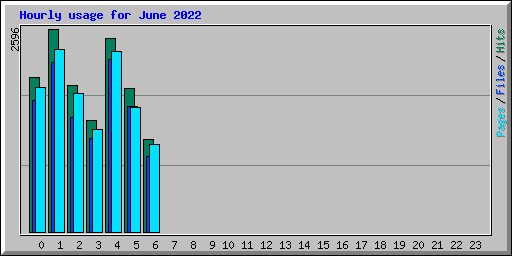 Hourly usage for June 2022