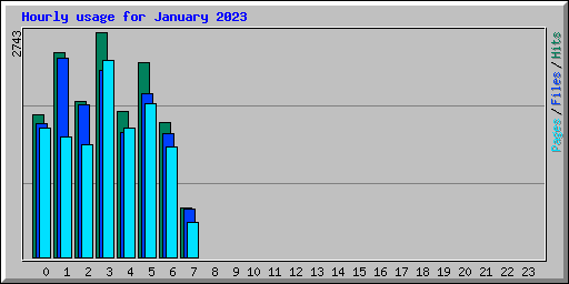 Hourly usage for January 2023