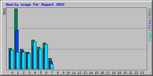 Hourly usage for August 2023