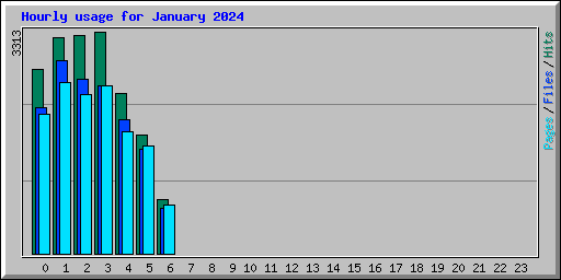 Hourly usage for January 2024