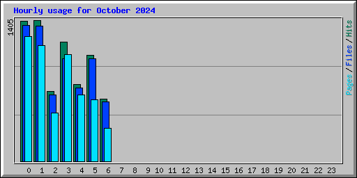 Hourly usage for October 2024