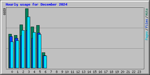 Hourly usage for December 2024
