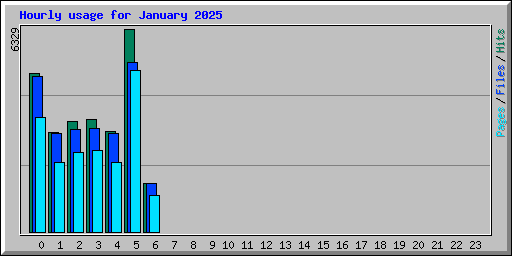 Hourly usage for January 2025