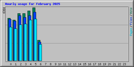 Hourly usage for February 2025