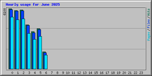 Hourly usage for June 2025