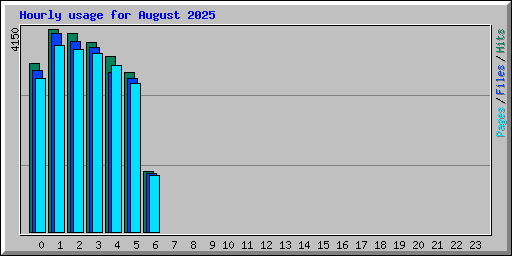 Hourly usage for August 2025