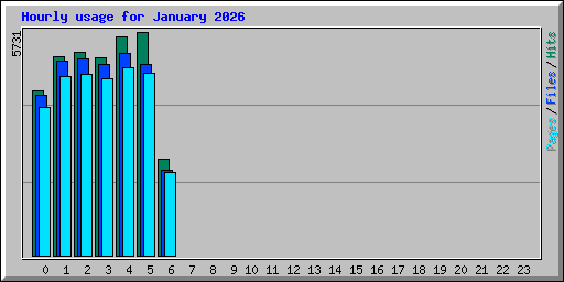 Hourly usage for January 2026