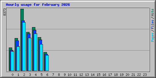 Hourly usage for February 2026